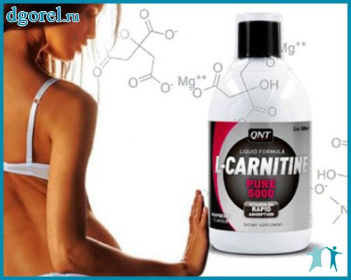 L-карнитин и похудение