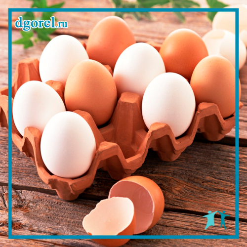 Яйцо - полезный холестерин